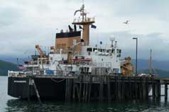 The Sycamore Coast Guard Rescue Ship